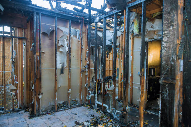 Professional Fire Damage Removal technician working in Fulton, MD